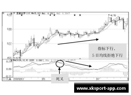 排球场上的位置战略与角色演变