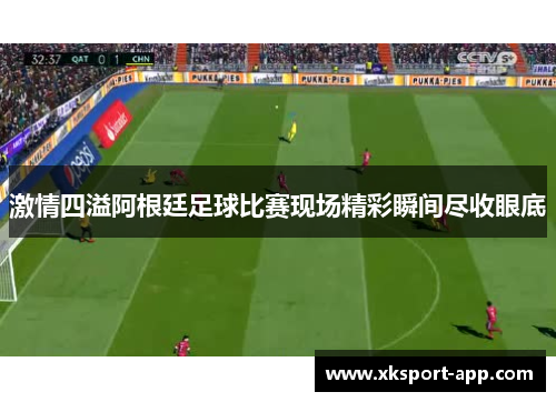 激情四溢阿根廷足球比赛现场精彩瞬间尽收眼底